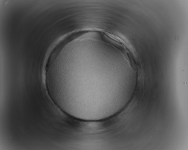 X0000089731188200707121443
