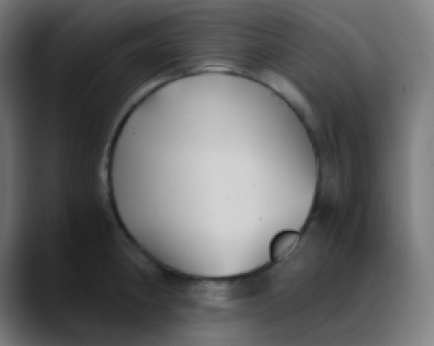 X0000089731190200707121443