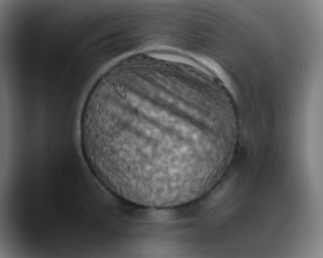 X0000089731191200707121443