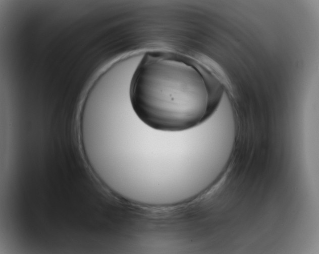 X0000089731192200707121443