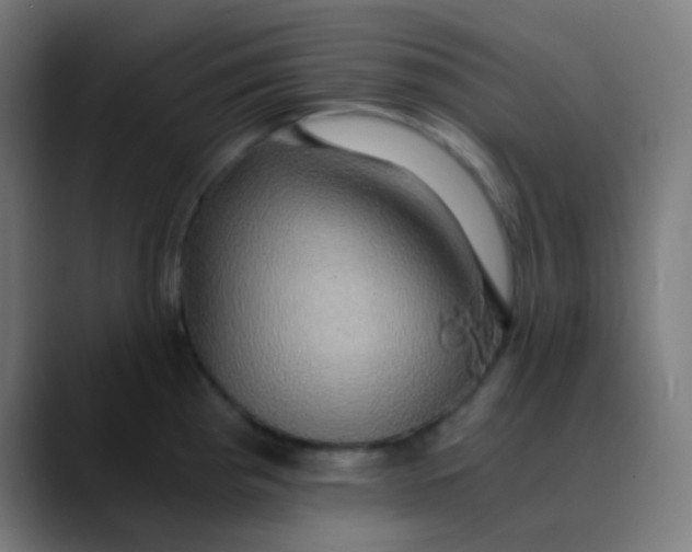 X0000089731193200707121443
