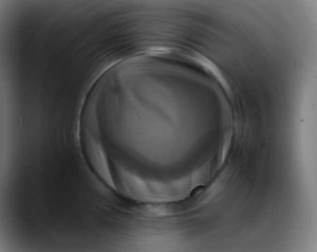 X0000089731194200707121443