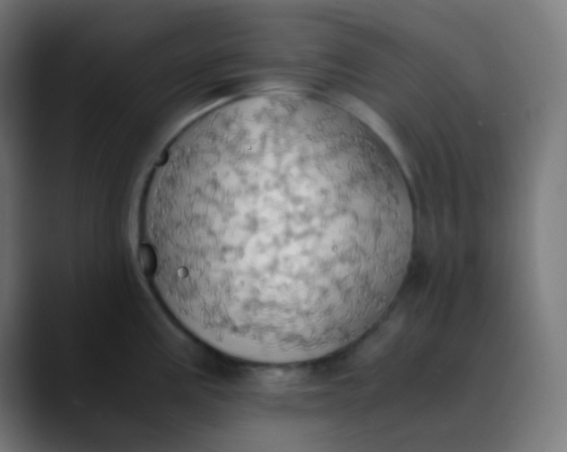 X0000089731195200707121443