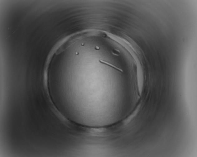 X0000089731196200707121443