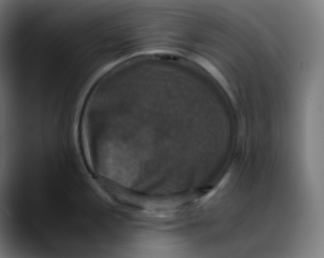 X0000089731197200707121443