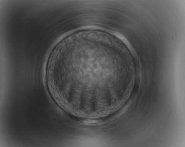 X0000089731199200707121443
