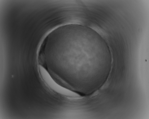 X0000089731200200707121443