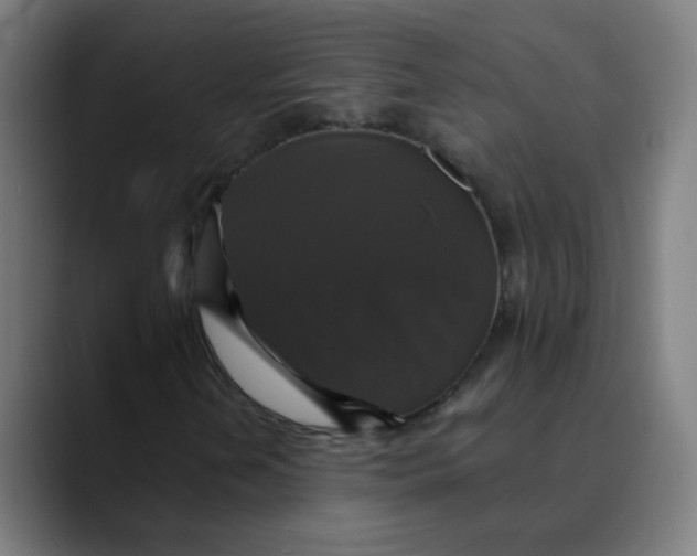 X0000089731202200707121443