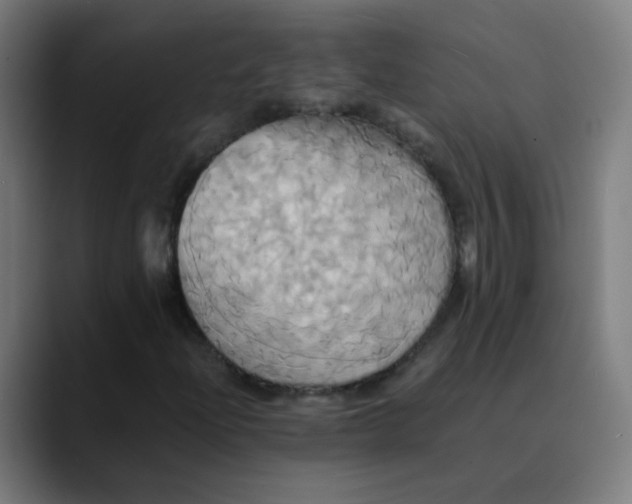 X0000089731204200707121443