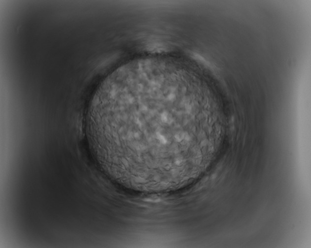 X0000089731205200707121443