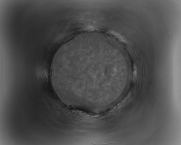 X0000089731206200707121443