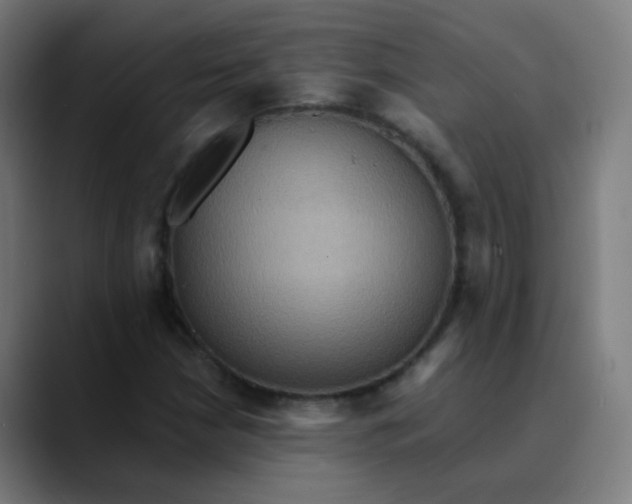 X0000089731210200707121443