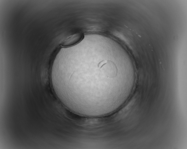 X0000089731211200707121443