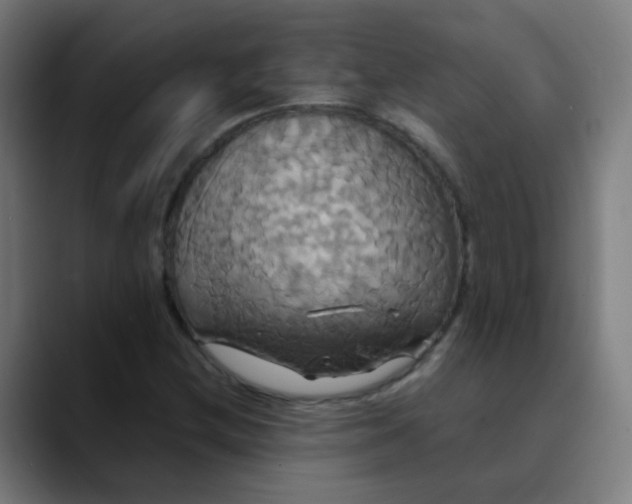 X0000089731212200707121443