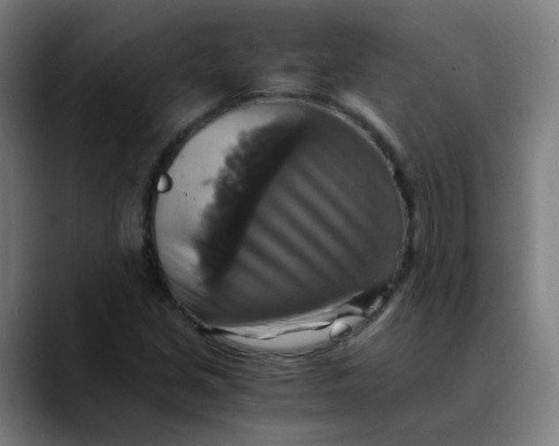 X0000089731213200707121443