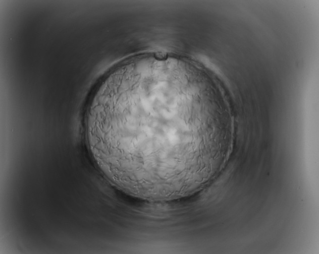 X0000089731215200707121443