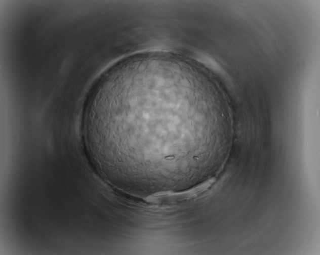 X0000089731216200707121443
