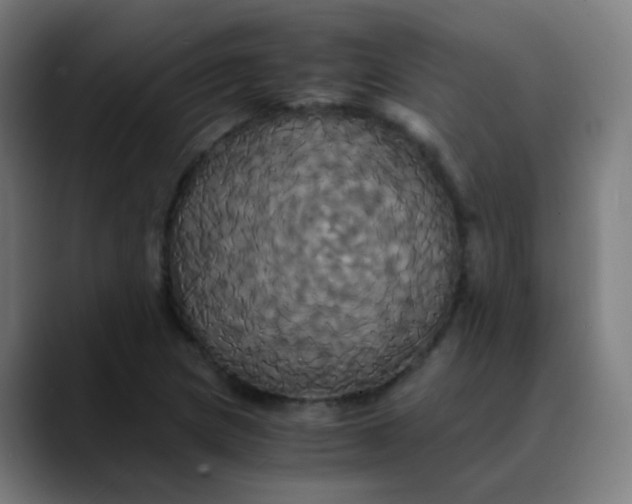 X0000089731217200707121443