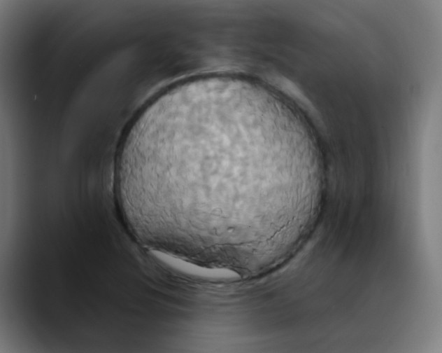 X0000089731220200707121443