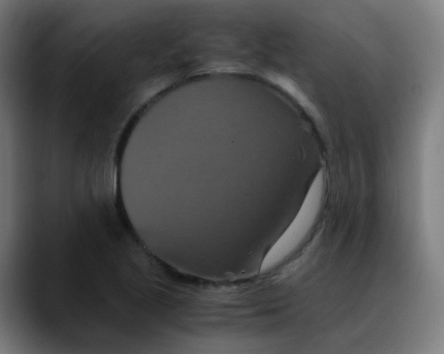 X0000089731221200707121443