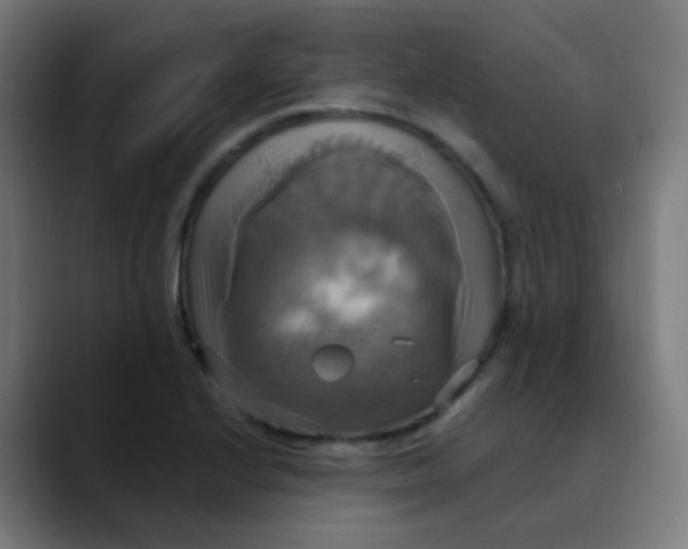 X0000089731224200707121443