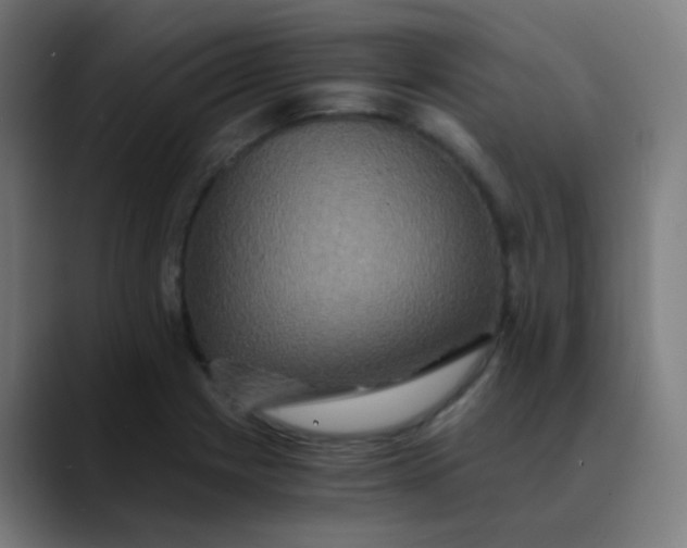 X0000089731225200707121443