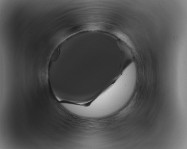 X0000089731226200707121443
