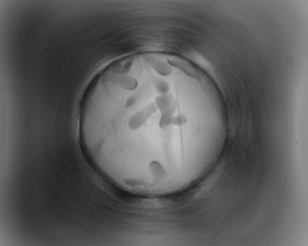 X0000089731227200707121443