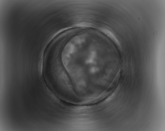 X0000089731228200707121443
