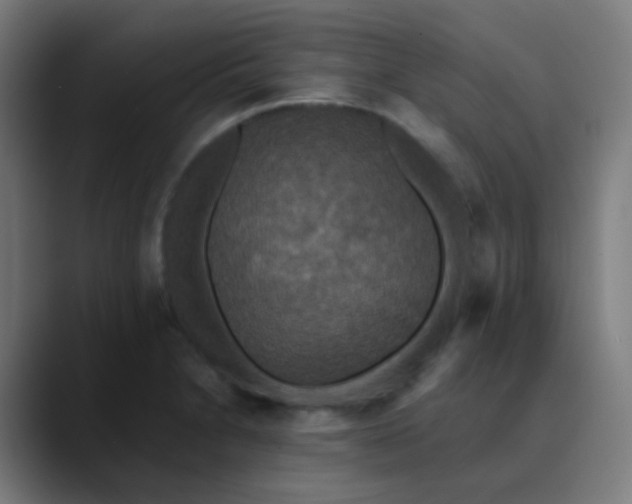 X0000089731230200707121443