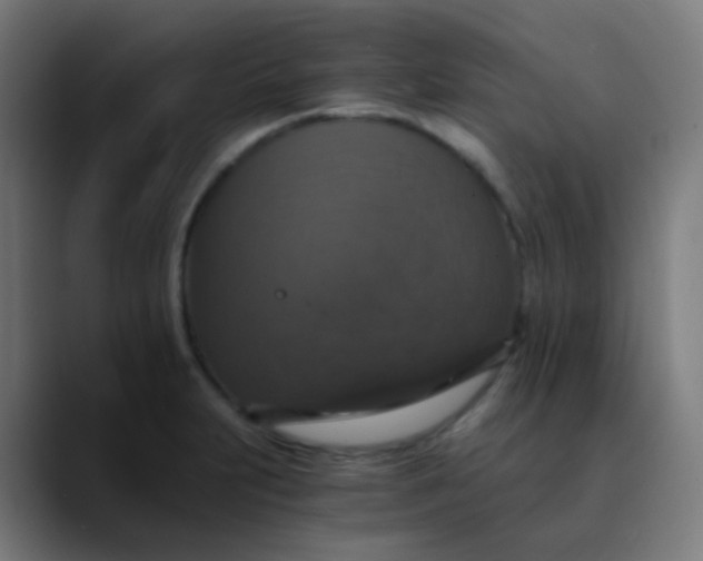 X0000089731231200707121443