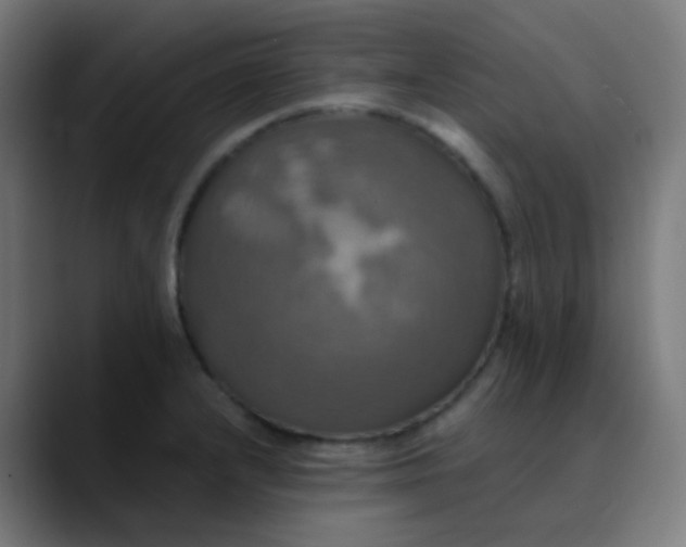 X0000089731232200707121443