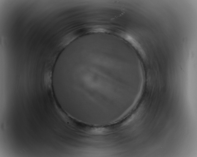 X0000089731233200707121443