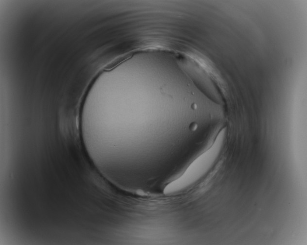 X0000089731234200707121443