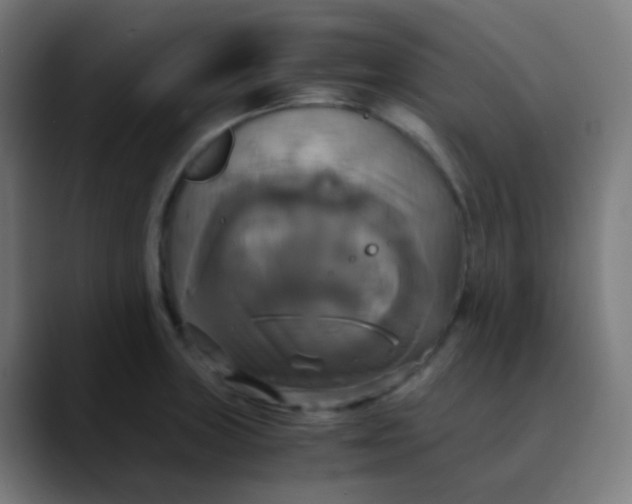 X0000089731235200707121443