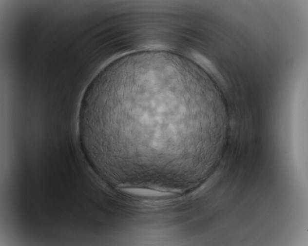 X0000089731236200707121443