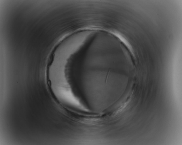 X0000089731237200707121443