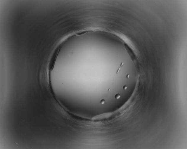X0000089731238200707121443