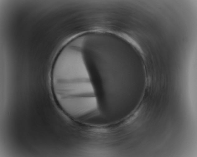 X0000089731239200707121443