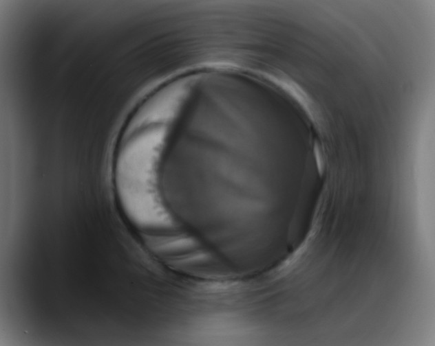 X0000089731240200707121443