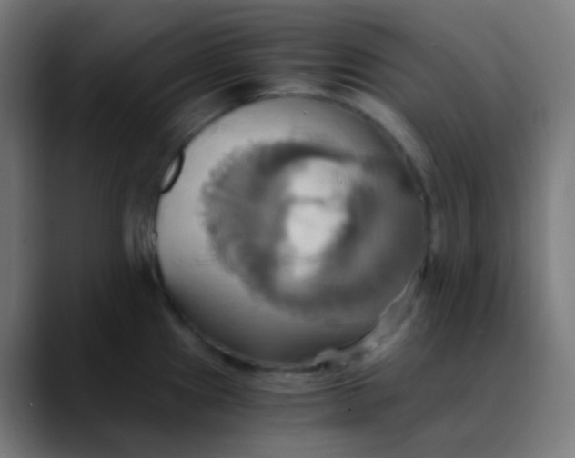 X0000089731241200707121443
