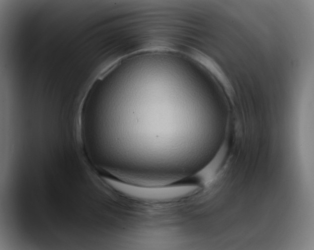 X0000089731242200707121443