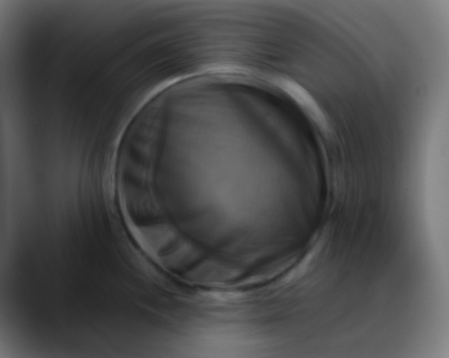 X0000089731244200707121443