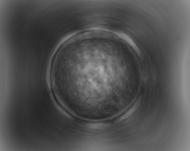 X0000089731247200707121443
