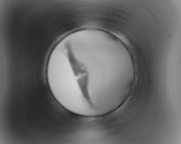 X0000089731248200707121443
