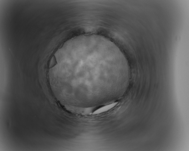 X0000089731249200707121443