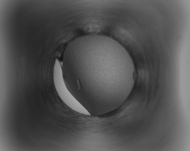 X0000089731250200707121443
