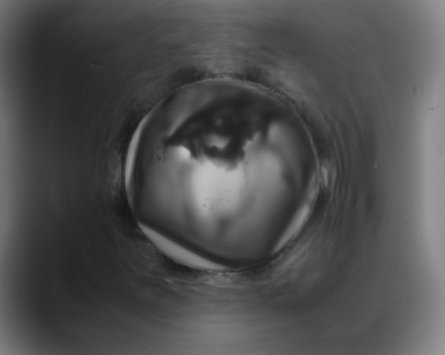 X0000089731251200707121443