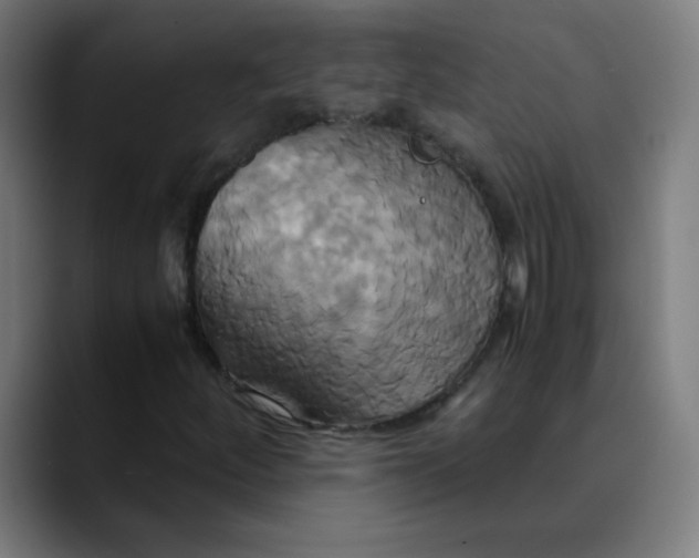 X0000089731252200707121443
