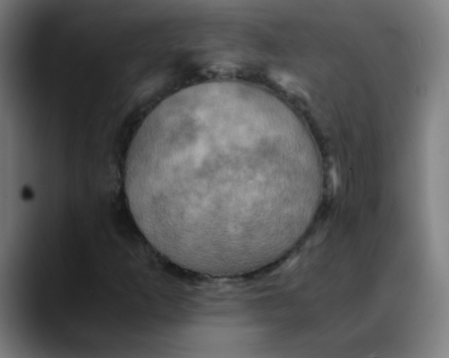 X0000089731253200707121443